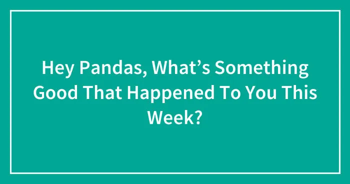Hey Pandas, What’s Something Good That Happened To You This Week? (Closed)