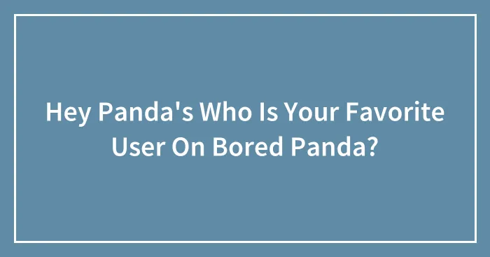 Hey Panda's Who Is Your Favorite User On Bored Panda?