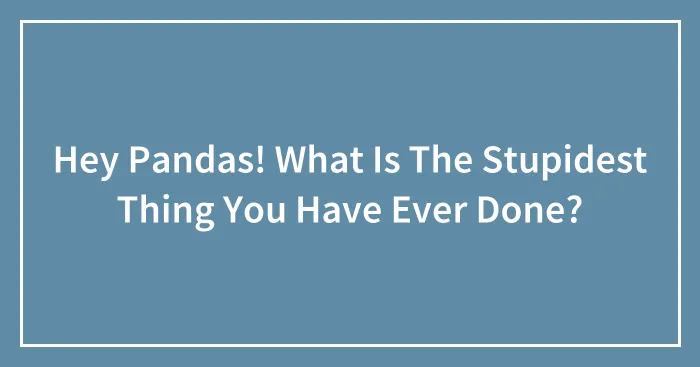 Hey Pandas! What Is The Stupidest Thing You Have Ever Done?