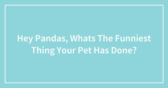Hey Pandas, Whats The Funniest Thing Your Pet Has Done?