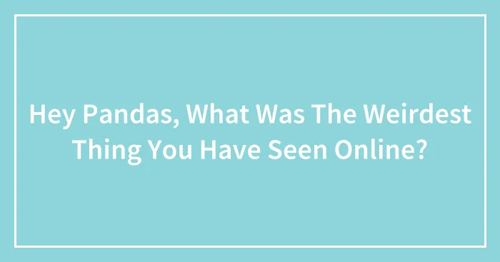 Hey Pandas, What Was The Weirdest Thing You Have Seen Online?