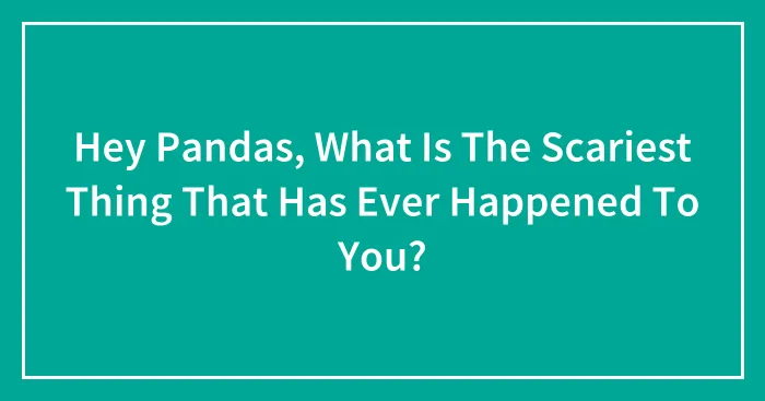 Hey Pandas, What Is The Scariest Thing That Has Ever Happened To You?