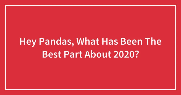 Hey Pandas, What Has Been The Best Part About 2020? (Closed)