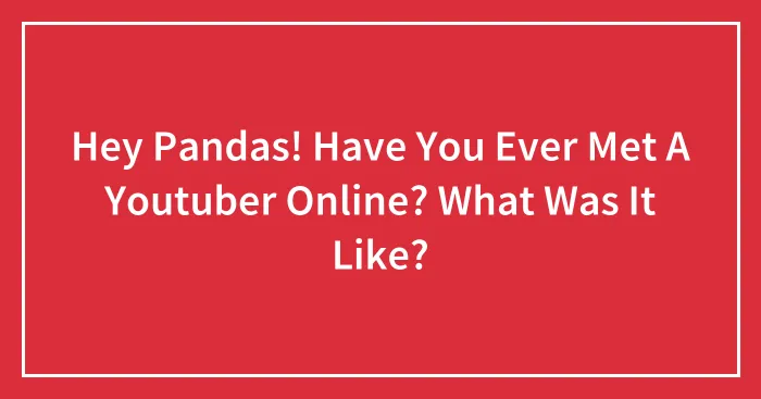 Hey Pandas! Have You Ever Met A Youtuber Online? What Was It Like?