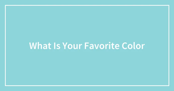 What Is Your Favorite Color
