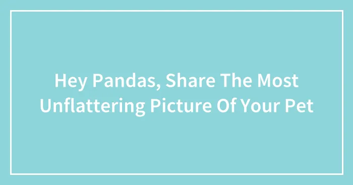 Hey Pandas, Share The Most Unflattering Picture Of Your Pet