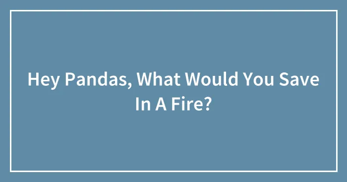Hey Pandas, What Would You Save In A Fire?