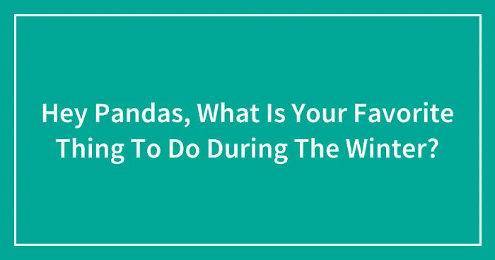 Hey Pandas, What Is Your Favorite Thing To Do During The Winter? (Closed)