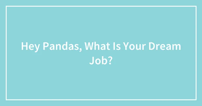 Hey Pandas, What Is Your Dream Job? (Closed)
