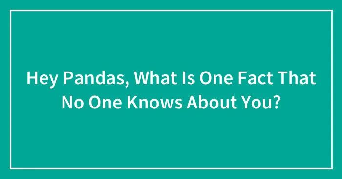 Hey Pandas, What Is One Fact That No One Knows About You? (Closed)