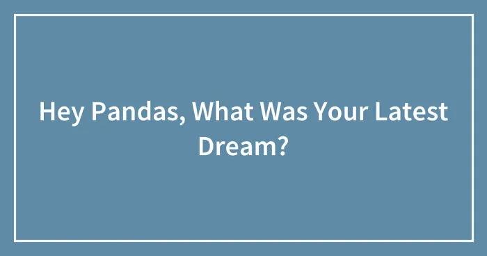 Hey Pandas, What Was Your Latest Dream? (Closed)