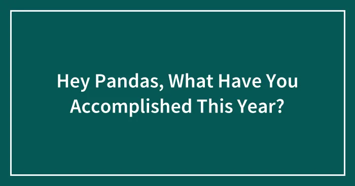 Hey Pandas, What Have You Accomplished This Year?