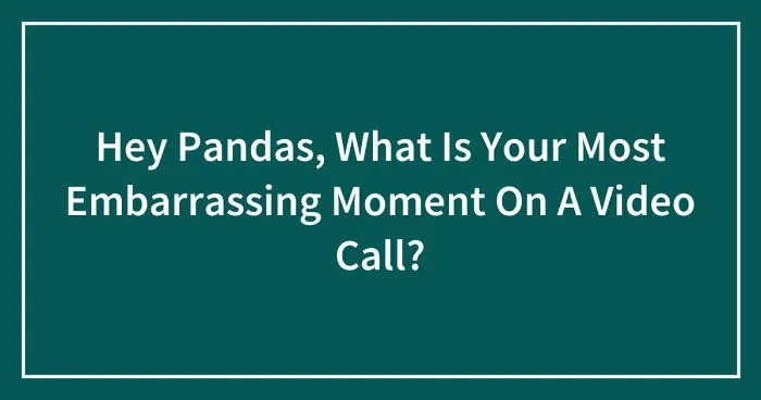 Hey Pandas, What Is Your Most Embarrassing Moment On A Video Call? (Closed)