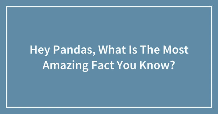 Hey Pandas, What Is The Most Amazing Fact You Know? (Closed)