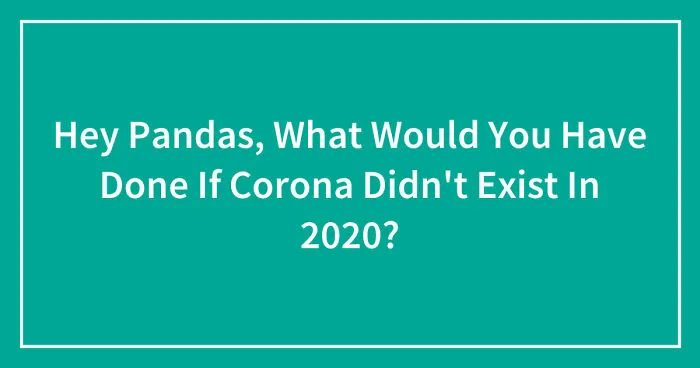 Hey Pandas, What Would You Have Done If Corona Didn't Exist In 2020? (Closed)