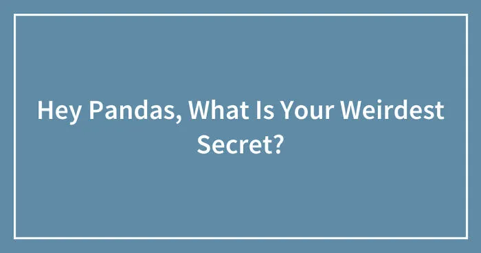 Hey Pandas, What Is Your Weirdest Secret? (Closed)