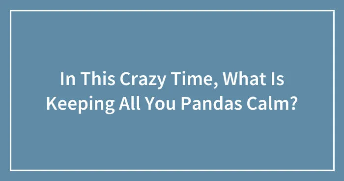 In This Crazy Time, What Is Keeping All You Pandas Calm? (Closed)