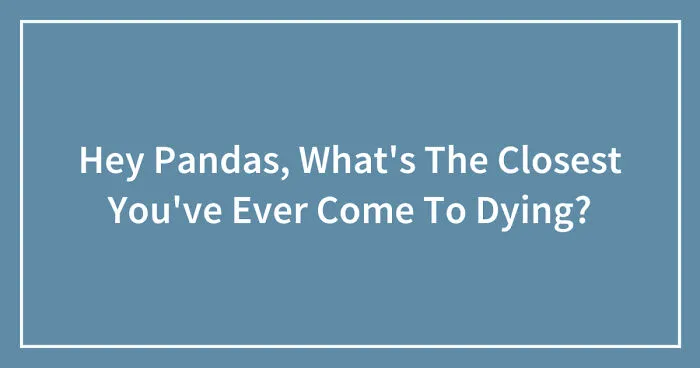 Hey Pandas, What's The Closest You've Ever Come To Dying? (Closed)