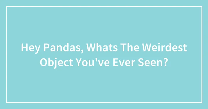 Hey Pandas, Whats The Weirdest Object You've Ever Seen?