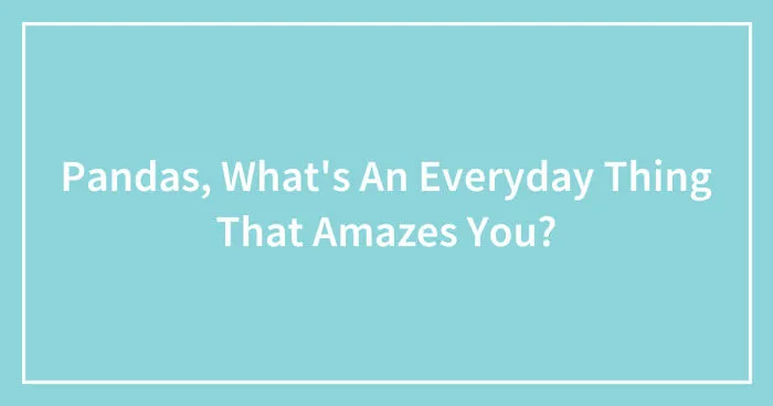 Pandas, What's An Everyday Thing That Amazes You? (Closed)