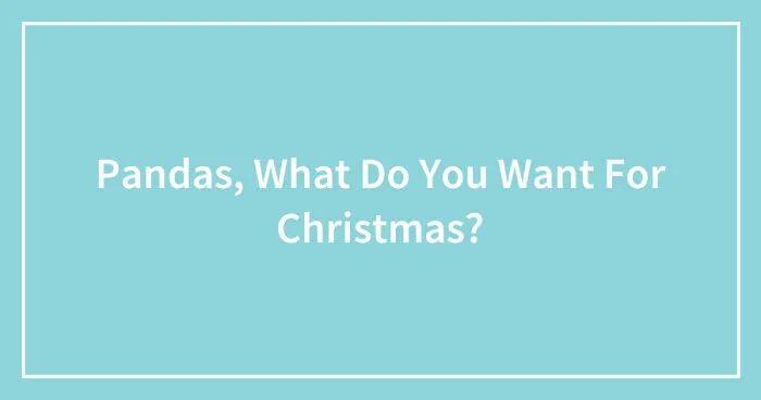 Pandas, What Do You Want For Christmas? (Closed)