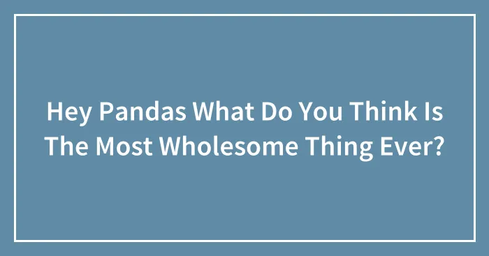Hey Pandas What Do You Think Is The Most Wholesome Thing Ever?