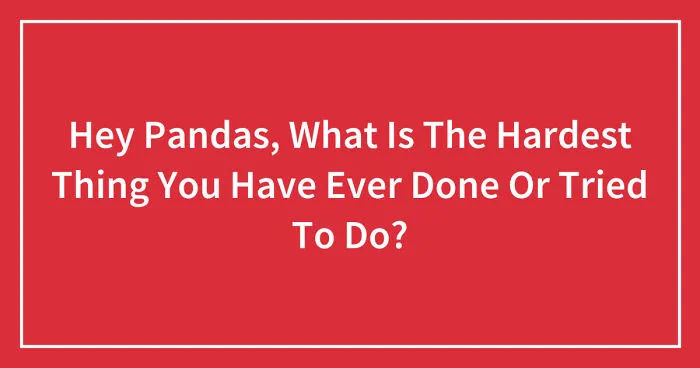 Hey Pandas, What Is The Hardest Thing You Have Ever Done Or Tried To Do? (Closed)
