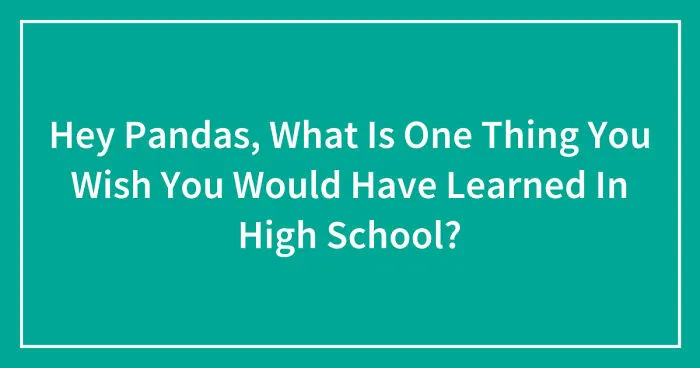 Hey Pandas, What Is One Thing You Wish You Would Have Learned In High School? (Closed)