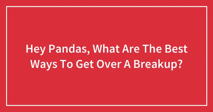 Hey Pandas, What Are The Best Ways To Get Over A Breakup? (Closed)