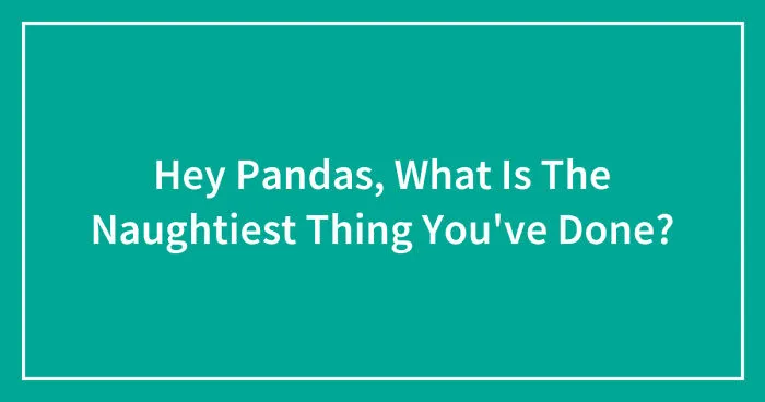 Hey Pandas, What Is The Naughtiest Thing You've Done? (Closed)