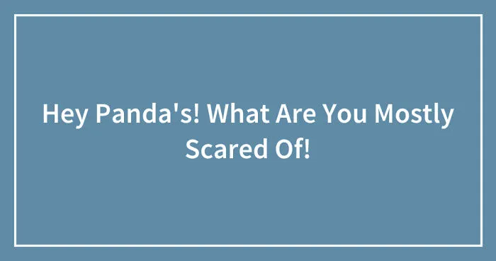 Hey Pandas, What Are You Most Scared Of? (Closed)