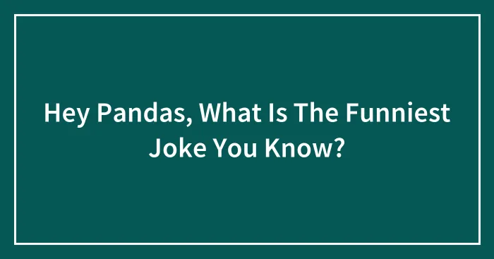 Hey Pandas, What Is The Funniest Joke You Know?