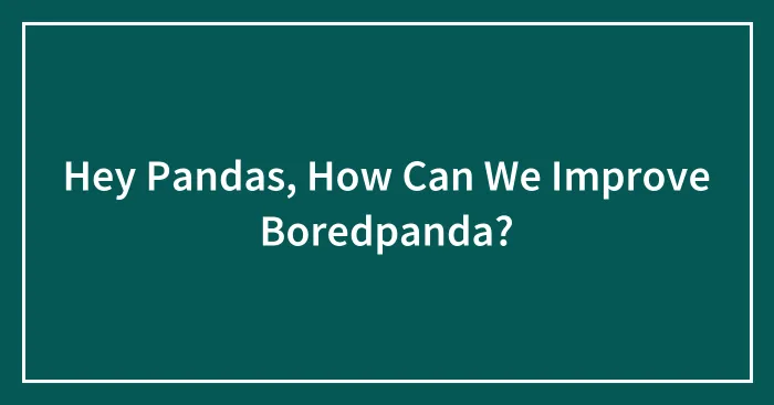 Hey Pandas, How Can We Improve Boredpanda?