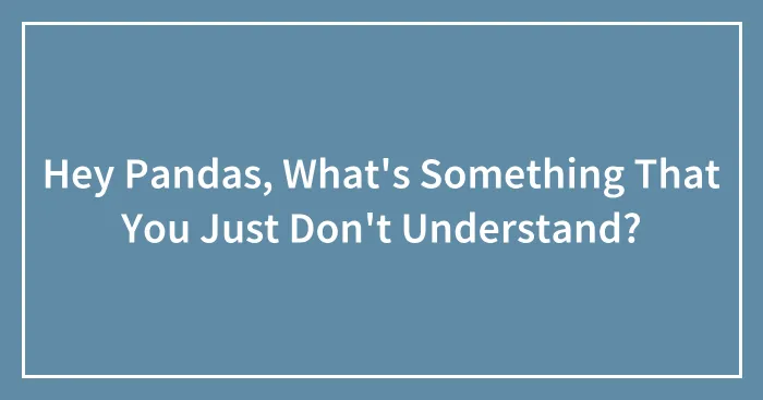 Hey Pandas, What's Something That You Just Don't Understand?