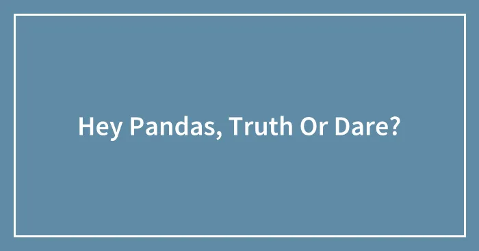 Hey Pandas, Truth Or Dare?