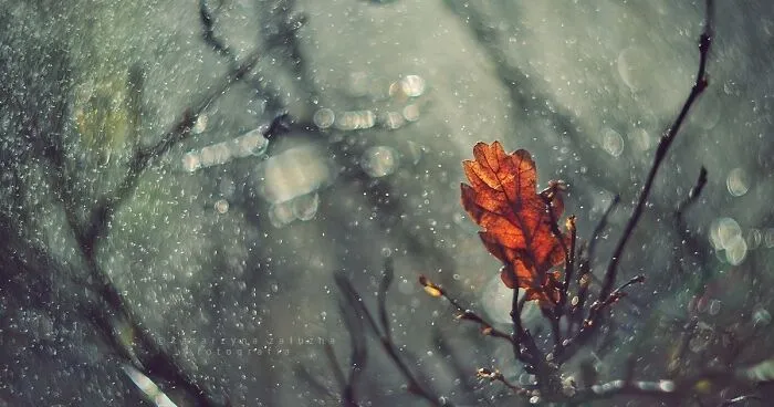 Loving Contact With Nature