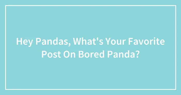 Hey Pandas, What's Your Favorite Post On Bored Panda? (Closed)