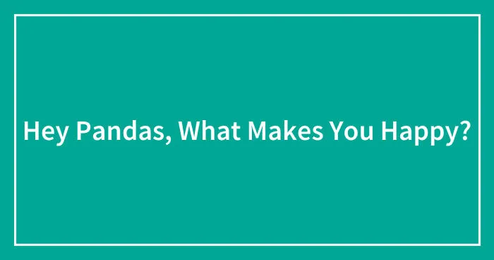 Hey Pandas, What Makes You Happy? (Closed)