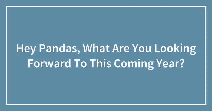 Hey Pandas, What Are You Looking Forward To This Coming Year? (Closed)