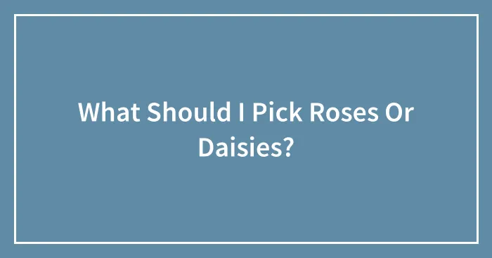 What Should I Pick Roses Or Daisies?