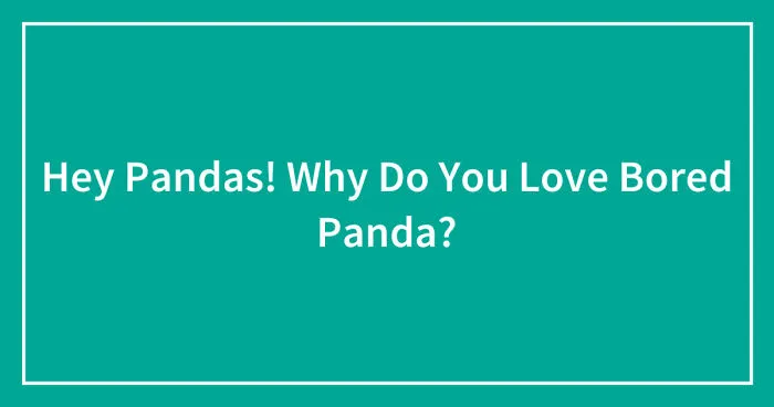 Hey Pandas! Why Do You Love Bored Panda?