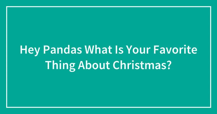 Hey Pandas What Is Your Favorite Thing About Christmas? (Closed)