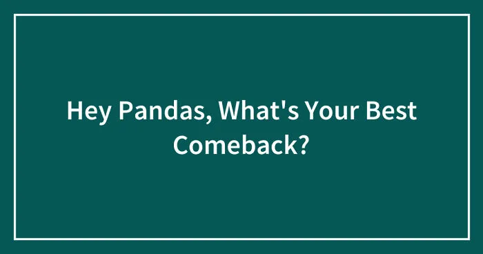 Hey Pandas, What's Your Best Comeback? (Closed)