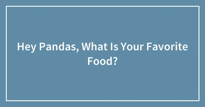 Hey Pandas, What Is Your Favorite Food? (Closed)