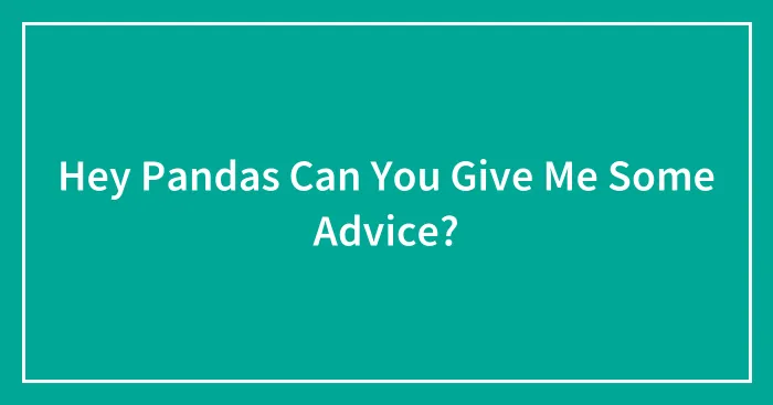 Hey Pandas Can You Give Me Some Advice?