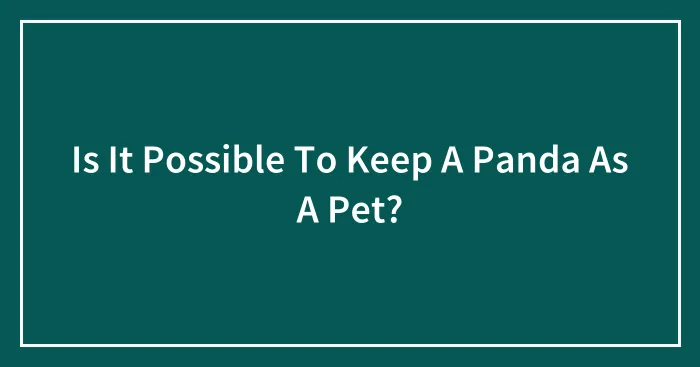 Is It Possible To Keep A Panda As A Pet?