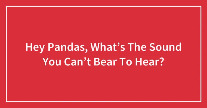 Hey Pandas, What’s The Sound You Can’t Bear To Hear? (Closed)