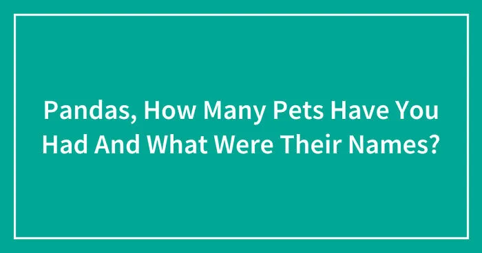 Pandas, How Many Pets Have You Had And What Were Their Names? (Closed)