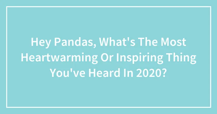 Hey Pandas, What's The Most Heartwarming Or Inspiring Thing You've Heard In 2020? (Closed)