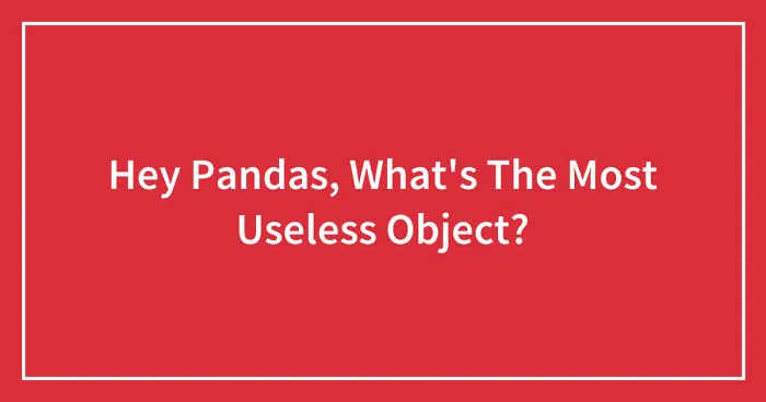 Hey Pandas, What's The Most Useless Object? (Closed)